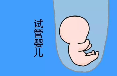 实验室环境